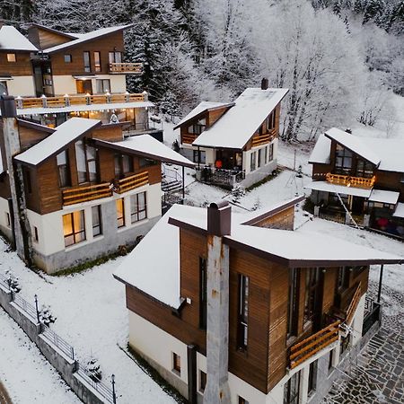 7 Cottage In Bakuriani Dış mekan fotoğraf