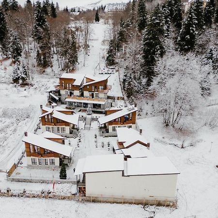 7 Cottage In Bakuriani Dış mekan fotoğraf