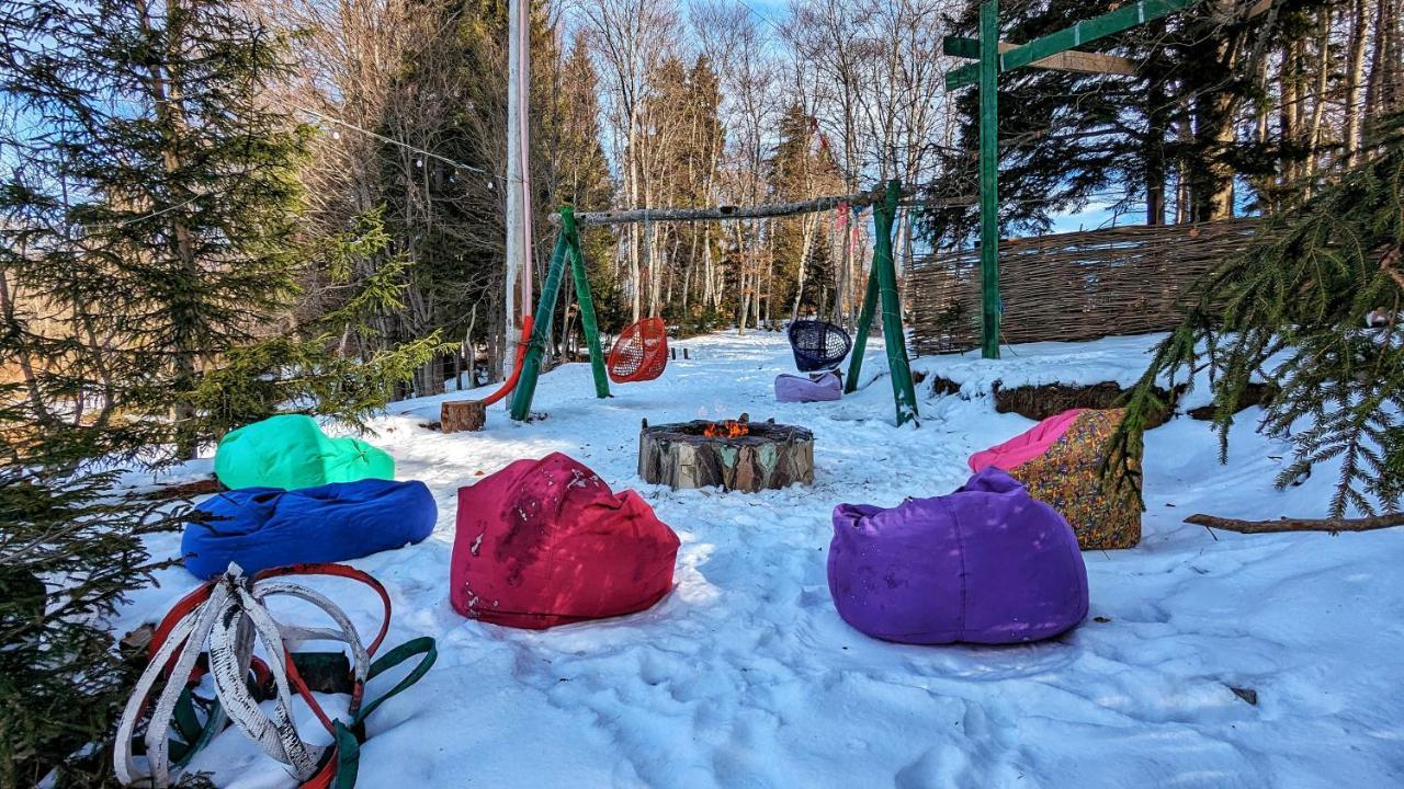 7 Cottage In Bakuriani Dış mekan fotoğraf